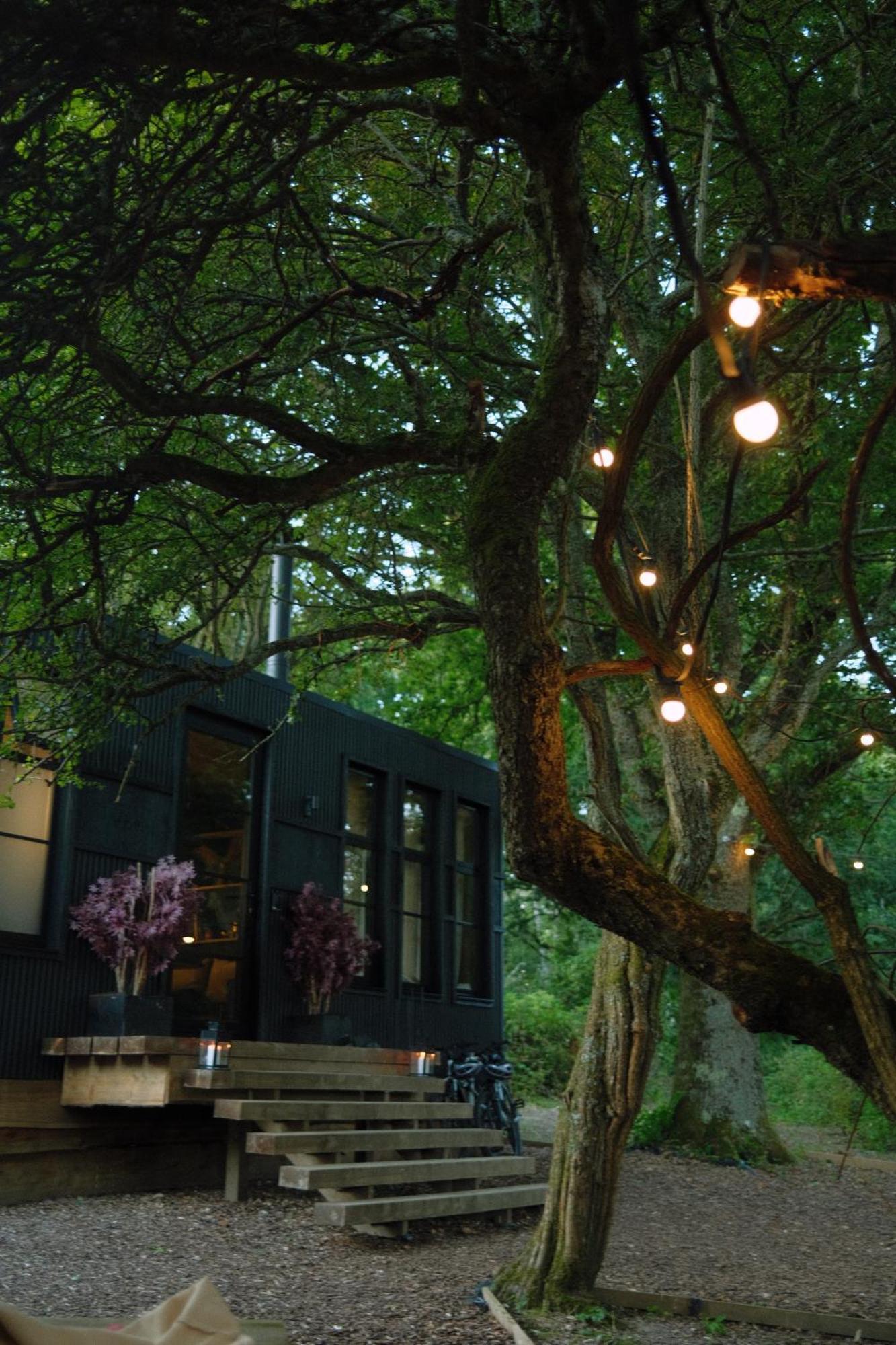 Koppla Cabin Felbridge Exterior foto